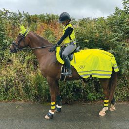 Hi viz horse boots best sale