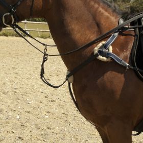 Windsor Equestrian Leather 5 Point Breastplate