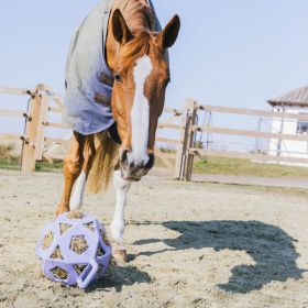 Kentucky Horsewear Relax Horse Play Hay Ball - Lavender - Kentucky Horsewear