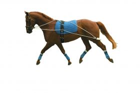 Kincade Lunging Training System