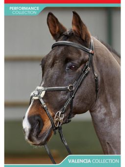 John Whitaker Valencia Mexican Bridle  Black