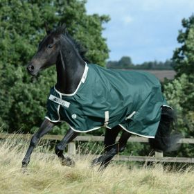 Bucas Greenline 100 Turnout Rug