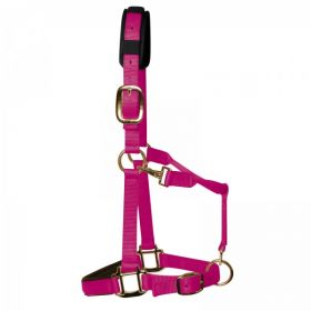 KM Elite Luxury Padded Headcollar Raspberry