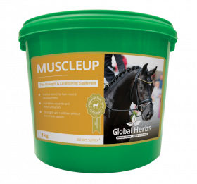 Global Herbs Muscle Up-1kg - Global Herbs