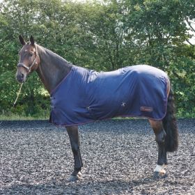 John Whitaker Rastrick Multi Purpose Rug