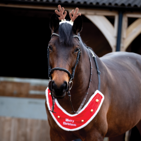 Equetech Childs Reindeer Antler Bridle Accessory - Brown/White