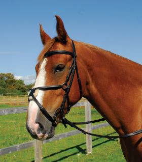 Heritage English Leather Bridle With Mexican Noseband