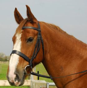 Heritage English Leather Hunter Bridle With Wide Cavesson Noseband - Heritage