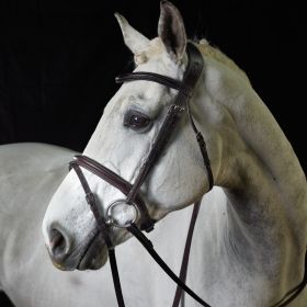 GFS PS Flash Bridle