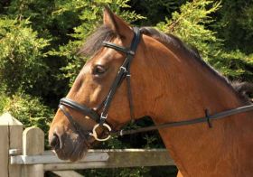 Windsor Leather ‘Comfort’ Bridle With Crank Style Flash Noseband