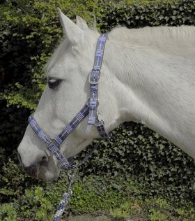 Rhinegold Carnival Headcollar & Matching Rope - Blue Check
