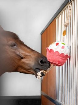 LeMieux Horse Toy Cupcake -  LeMieux