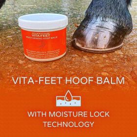 Arthur Boyd Equine Vita-Feet Hoof Balm 500ml