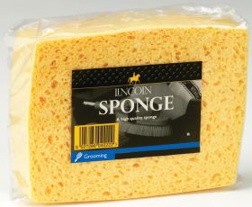 Lincoln Sponge