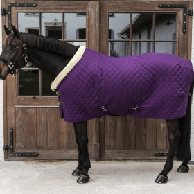 Kentucky Show Rug - Royal Purple -  Kentucky Horsewear