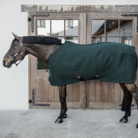 Kentucky Horsewear 4D Spacer Cooler Sheet - Pine Green -  Kentucky Horsewear