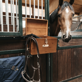 Grooming Deluxe Stable Tack Box With Hangers