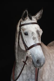 Collegiate Hunt Cavesson Bridle Brown