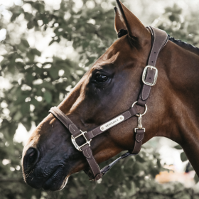 Kentucky Anatomic Suede Halter - Brown