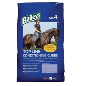 Baileys No 4 - Top Line Conditioning Cubes - Baileys