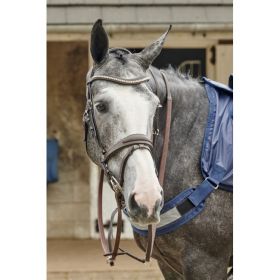 John Whitaker Chicago Perforated Leather Bridle with Bling Browband