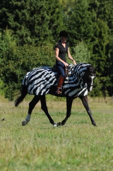 Bucas Buzz Off Riding Zebra Rug -  Bucas