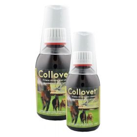 Collovet - Gallop Equestrian