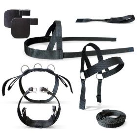 Crafy Ponies Driving Harness 