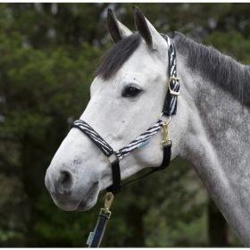 Bucas Dublin Padded Luxury Headcollar  Zebra Print