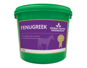Global Herbs Fenugreek-1kg - Global Herbs