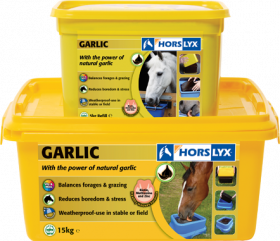 Horslyx Garlic Lick 