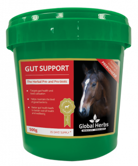 Global Herbs Gut Support