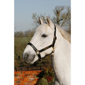 JHL Leather Headcollar with Brass Nameplate - JHL / Jumpers Horseline