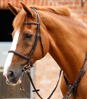 Premier Equine Mossimo Cavesson Bridle - Brown
