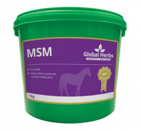 Global Herbs MSM Pure-1kg - Global Herbs