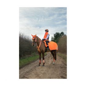 HyVIZ Reflector Exercise Sheet Fleece Lined - Orange -  HY