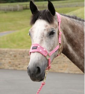 Supreme Products Dotty Fleece Head Collar and Lead Rope - Pink