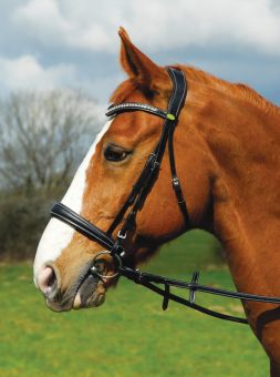 Rhinegold Italian Leather Anatomical Bridle With Cavesson Noseband