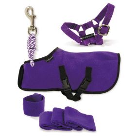 Crafty Ponies Rug Set - Purple -  Crafty Ponies