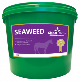 Global Herbs Seaweed