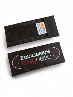 Equilibrium Spare Magnet Set 4 x Small - Equilibrium