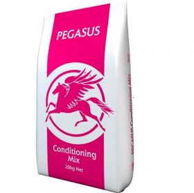 Pegasus Conditioning Mix 20kg - Spillers
