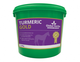 Global Herbs Turmeric Gold 1.8kg - Global Herbs