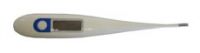 Digital Thermometer